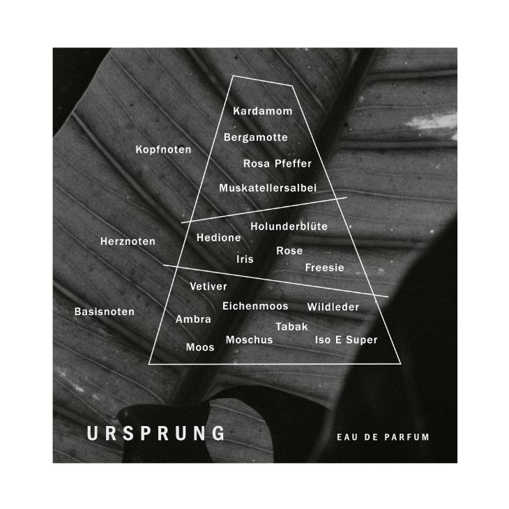 Ursprung Eau de Parfum – 50ml